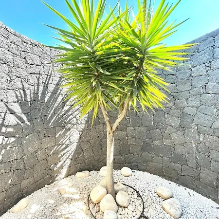 B Mamma Mia Lanzarote